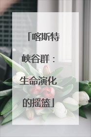 喀斯特峡谷群：生命演化的摇篮