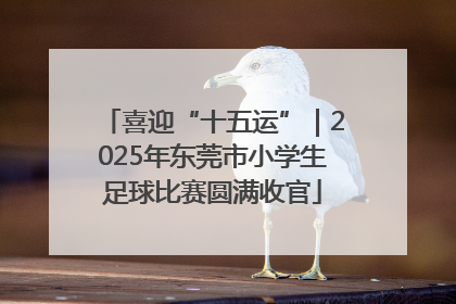 喜迎“十五运”｜2025年东莞市小学生足球比赛圆满收官