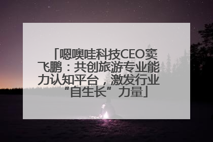 嗯噢哇科技CEO窦飞鹏：共创旅游专业能力认知平台，激发行业“自生长”力量