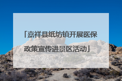 嘉祥县纸坊镇开展医保政策宣传进景区活动