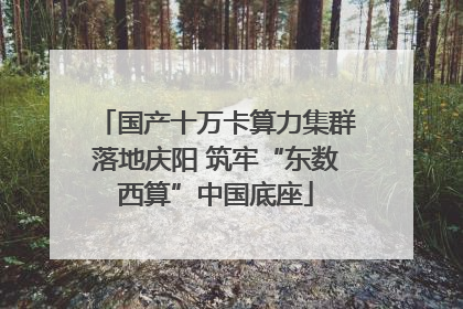 国产十万卡算力集群落地庆阳 筑牢“东数西算”中国底座