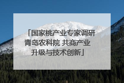国家桃产业专家调研青岛农科院 共商产业升级与技术创新