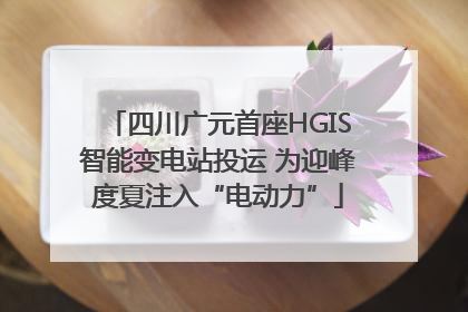 四川广元首座HGIS智能变电站投运 为迎峰度夏注入“电动力”