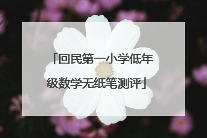 回民第一小学低年级数学无纸笔测评