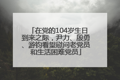 在党的104岁生日到来之际，尹力、殷勇、游钧看望慰问老党员和生活困难党员