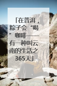 在普洱，粽子会“喝”咖啡——有一种叫云南的生活之365天
