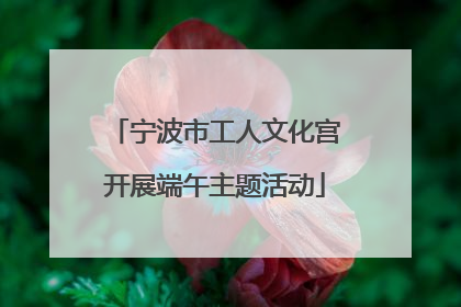 宁波市工人文化宫开展端午主题活动