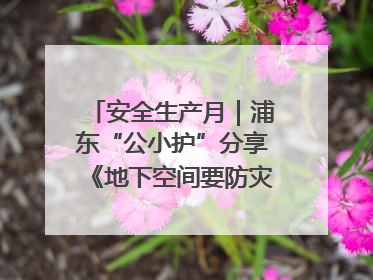 安全生产月｜浦东“公小护”分享《地下空间要防灾，守护平安有我在》安全谣