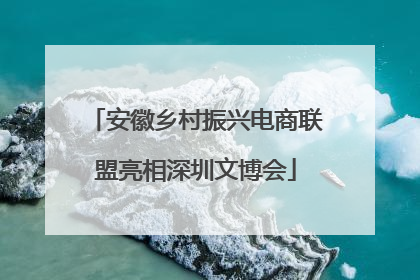 安徽乡村振兴电商联盟亮相深圳文博会