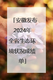 安徽发布2024年全省生态环境状况成绩单