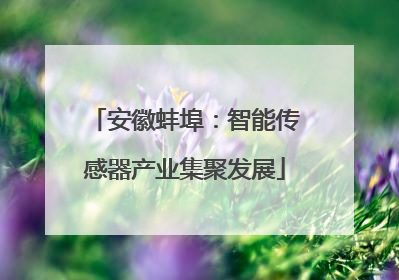 安徽蚌埠：智能传感器产业集聚发展
