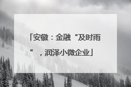 安徽：金融“及时雨”，润泽小微企业