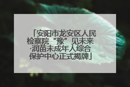 安阳市龙安区人民检察院“豫”见未来·润苗未成年人综合保护中心正式揭牌