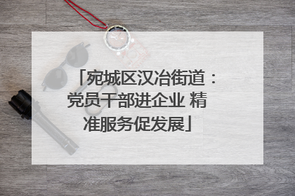 宛城区汉冶街道：党员干部进企业 精准服务促发展
