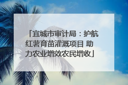 宜城市审计局：护航红薯育苗灌溉项目 助力农业增效农民增收
