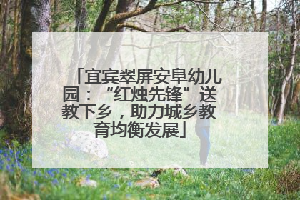 宜宾翠屏安阜幼儿园：“红烛先锋”送教下乡，助力城乡教育均衡发展