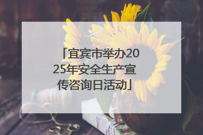 宜宾市举办2025年安全生产宣传咨询日活动