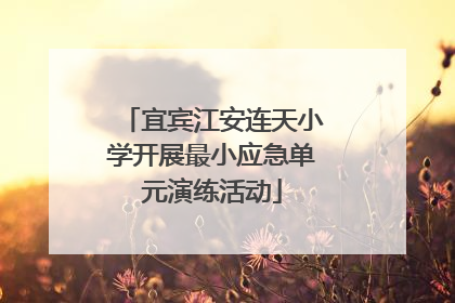 宜宾江安连天小学开展最小应急单元演练活动