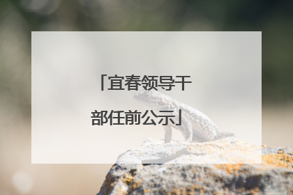 宜春领导干部任前公示
