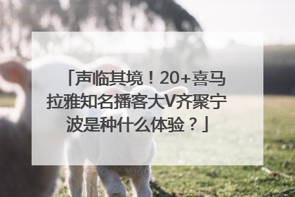 声临其境！20+喜马拉雅知名播客大V齐聚宁波是种什么体验？