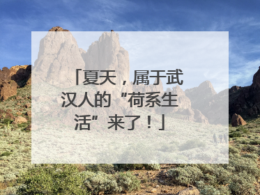 夏天，属于武汉人的“荷系生活”来了！