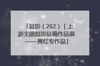 夏影（262）｜上游主题摄影征稿作品展——黄红专作品