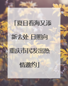 夏日看海又添新去处 日照向重庆市民发出热情邀约