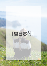 夏日赏荷