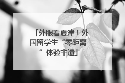 外眼看夏津！外国留学生“零距离”体验非遗