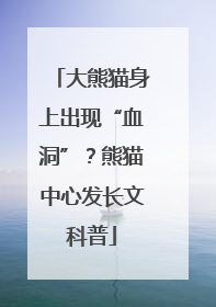大熊猫身上出现“血洞”？熊猫中心发长文科普