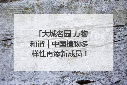 大城名园 万物和谐｜中国植物多样性再添新成员！它只在西藏墨脱