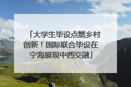 大学生毕设点燃乡村创新！国际联合毕设在宁海展现中西交融