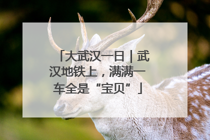 大武汉一日｜武汉地铁上，满满一车全是“宝贝”