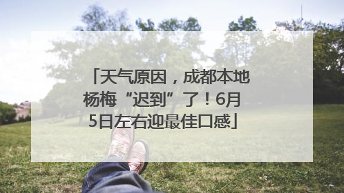 天气原因，成都本地杨梅“迟到”了！6月5日左右迎最佳口感
