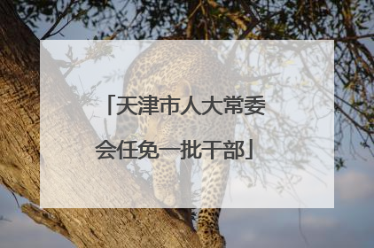 天津市人大常委会任免一批干部