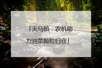 天马镇：农机助力油菜颗粒归仓