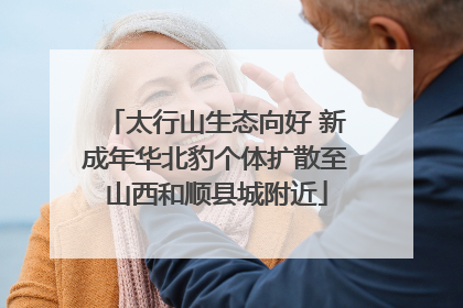 太行山生态向好 新成年华北豹个体扩散至山西和顺县城附近