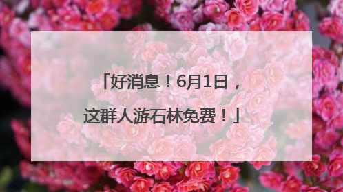 好消息！6月1日，这群人游石林免费！