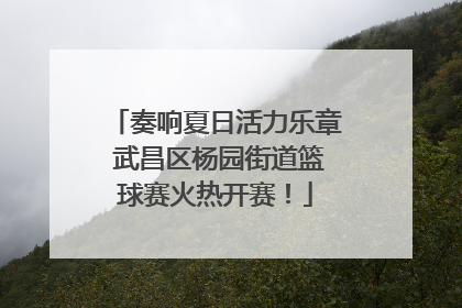 奏响夏日活力乐章 武昌区杨园街道篮球赛火热开赛！