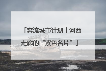 奔流城市计划丨河西走廊的“紫色名片”
