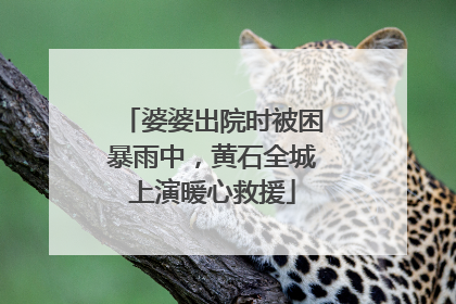 婆婆出院时被困暴雨中，黄石全城上演暖心救援