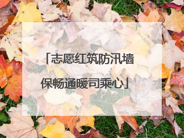 志愿红筑防汛墙 保畅通暖司乘心