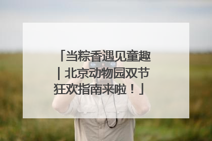 当粽香遇见童趣｜北京动物园双节狂欢指南来啦！