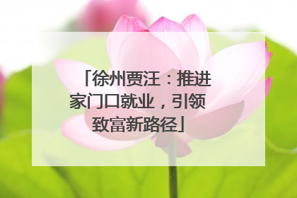 徐州贾汪：推进家门口就业，引领致富新路径