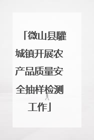 微山县驩城镇开展农产品质量安全抽样检测工作