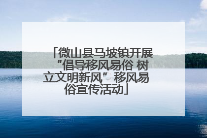 微山县马坡镇开展“倡导移风易俗 树立文明新风”移风易俗宣传活动