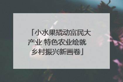 小水果撬动富民大产业 特色农业绘就乡村振兴新画卷