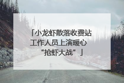 小龙虾散落收费站 工作人员上演暖心“抢虾大战”