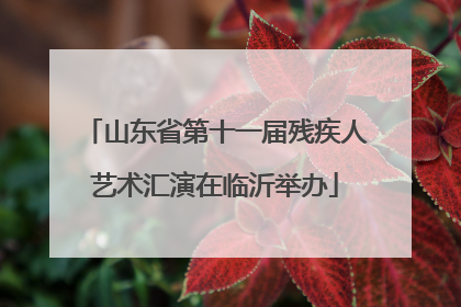 山东省第十一届残疾人艺术汇演在临沂举办