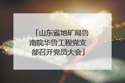山东省地矿局鲁南院华鲁工程党支部召开党员大会